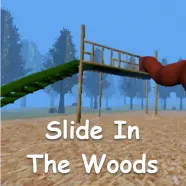 Slide In The Woods